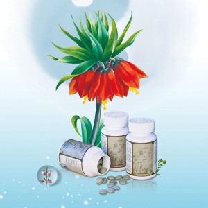 Питательные пастилки Гаосен